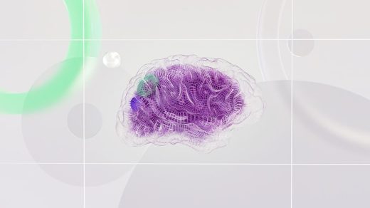 exploring mindset through neuroscience
