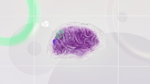 exploring mindset through neuroscience